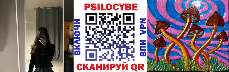 Псилоцибиновые грибы мицелий  Купить где  Гудермес 
